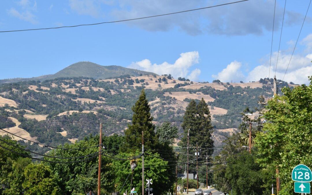 Notice Of Housing Element Workshop