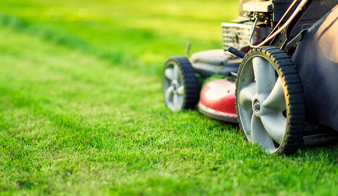 Guidelines For Safe Weed-Eating/Grass Cutting and Other Recommendations